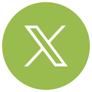 X social media icon